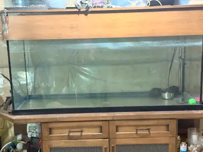 100 gallon tank holds water with stand and lid Contact by phone for quick response Must be picked up...