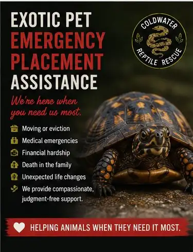 EXOTIC PET EMERGENCY PLACEMENT ASSISTANCE, View more