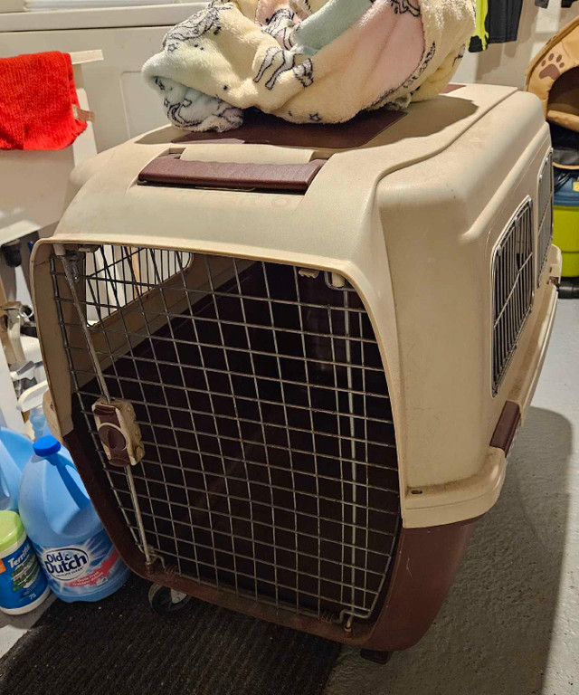 plastic dog cage med,   small indoor dog house  in Accessories in Sudbury