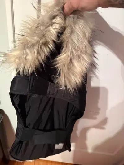 dog coat, View more