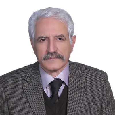 Professor Sayyed, Ph.D., DIC University Professor with 30+ years of experience • High School (Grades...