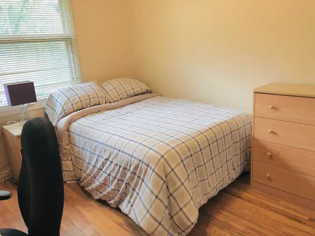 Professional Painter For Hire Ottawa Area