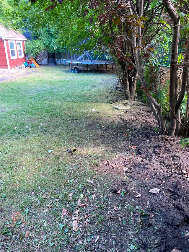 Gardening/landscaping & more call/text sameday 647-495-2658 in Lawn, Tree Maintenance & Eavestrough in City of Toronto - Image 6