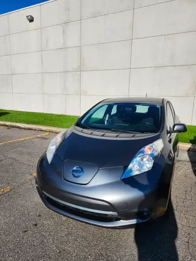 2016 Nissan leafs