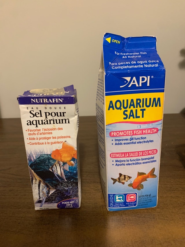 Opened Aquarium Salt Fish for Rehoming Winnipeg Kijiji
