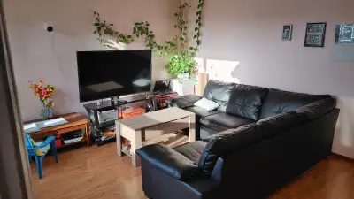 2 rooms for rent