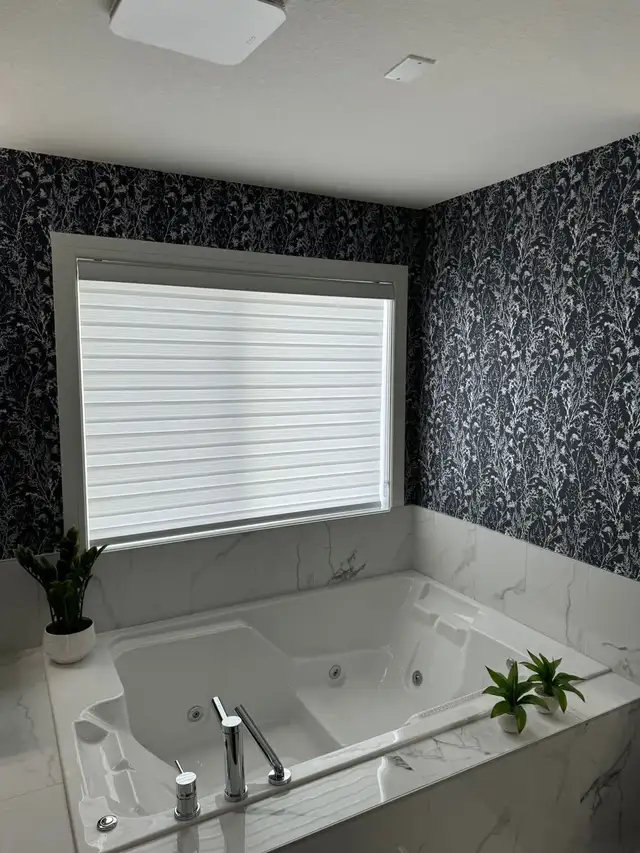 wallpaper64562370091651123