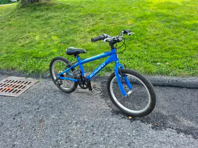 Kids 20" Schwinn Mesa bicycle, View more