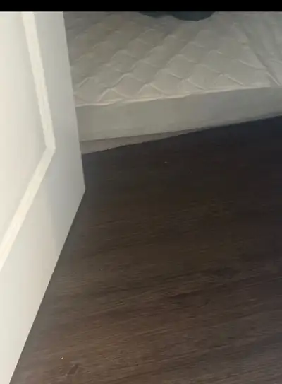 Looking room mate