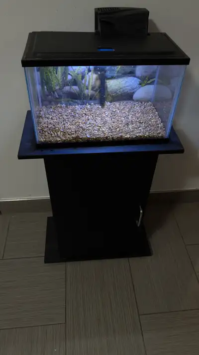 5 gallon full set up, View more