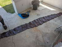11 foot snake skin