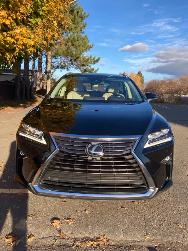 RX350.  201764656285128579120