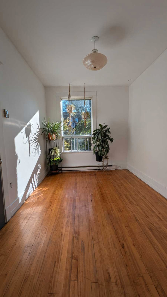 Chambre double à louer dans Chambres à louer et colocs  à Ville de Montréal