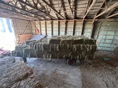 Good quality alfalfa bales, second cut. Price is firm, cash only payment. Will deliver within reason...