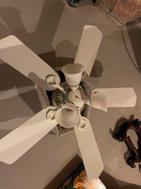 Ceiling Light Fan