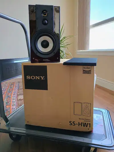 SONY SS-HW1, View more