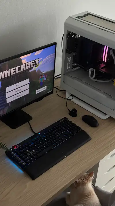 PC gaming , View more