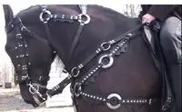 Horse Harness-Bridles-Reins -Halters and more...