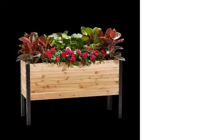 Cedar Premium Cedar Box Planter, View more