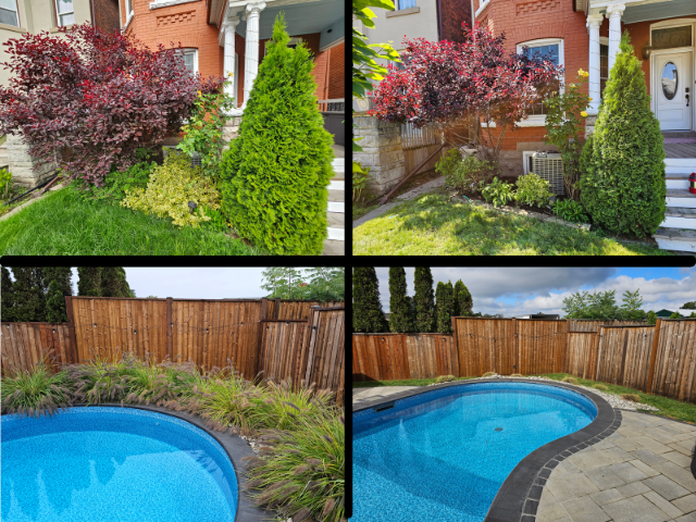 Reliable & Affordable Landscaping & Gardening - Fall Cleanup in Other in Hamilton - Image 9