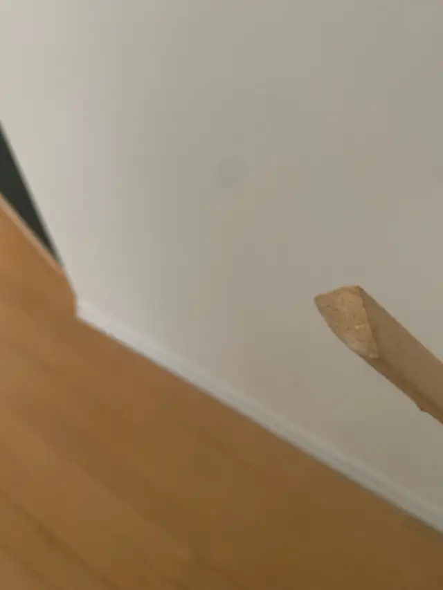 Wood Baseboard / Molding Trim - Plinthe / Bande de Calfeutrage in Windows, Doors & Trim in City of Montréal - Image 5