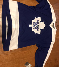 Tomas Kaberle Autographed Toronto Maple Leafs Authentic Pro Jersey