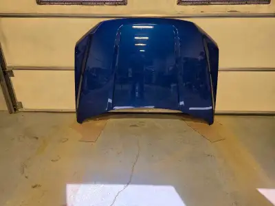 2017 Ford F150 hood. Not perfect, but in 8/10 condition. A couple scuffs, but no rock chips or rust...