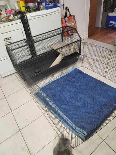Cage à lapin acheté août 2025, utilisé 4 mois, comme neuf. Payé 400$ demande 250$ Incluant très gran...