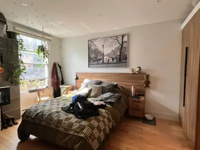 Appartement 3 1/2 rdc avec salle de bain et salle de lavage séparer à louer à partir de la mi novemb...