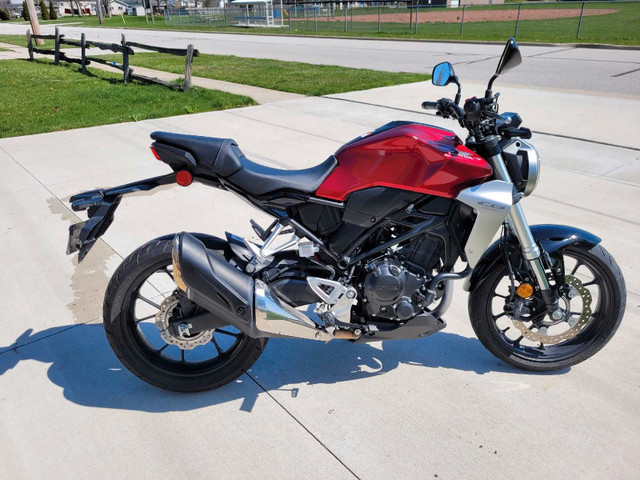 2019 HONDA CB300 in Sport Bikes in Sarnia - Image 3