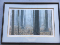 Ltd Ed “Hardwood Forest-White-Tailed Buck” Print- Robert Bateman