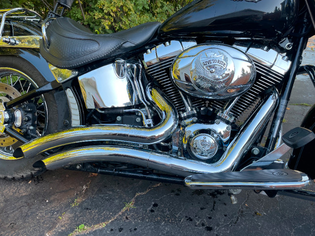 HARLEY DAVISDON 2007 SOFTAIL DELUXE dans Utilitaires et de promenade  à Rimouski / Bas-St-Laurent - Image 4