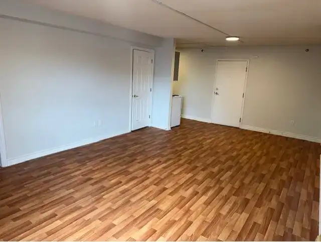 Large bachelor apt. May 1,$ $1475 all inclusive, Green St South