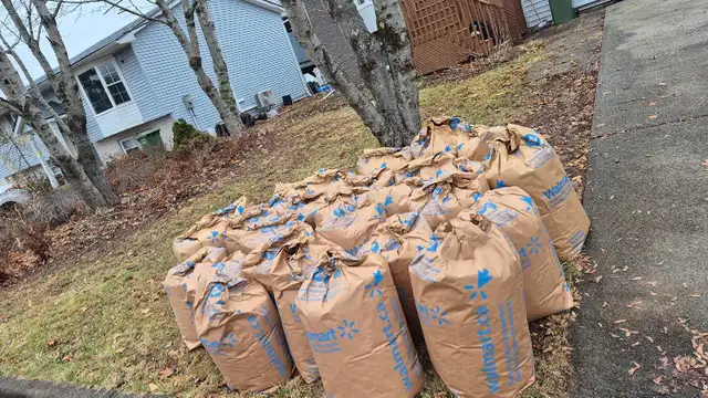 leaf raking / yardwork / painting425646072393912321