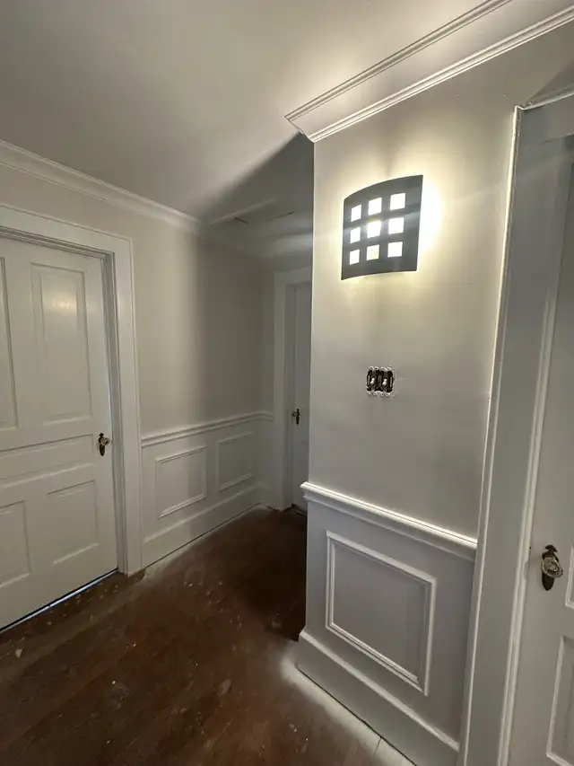 Iris Finishing painting &reno62863218167811128