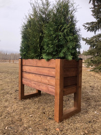 Raised Garden Bed