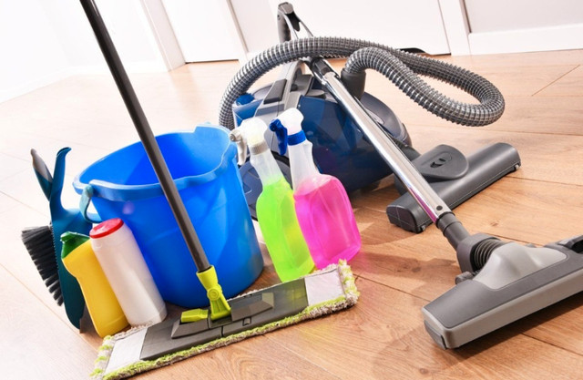 House cleaner in Cleaners & Cleaning in Edmonton