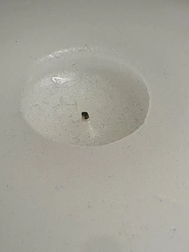 6”/15CM POTTERY BARN WINTER FOREST BOTANICAL PILLAR CANDLE in Home Décor & Accents in Markham / York Region - Image 4