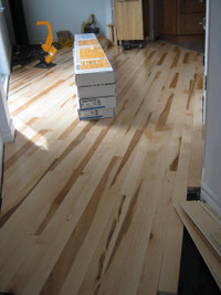 Tile, paint & Flooring Specialist / Handyman Services