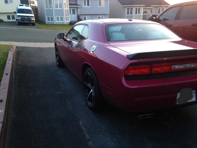 2010 Dodge Challenger SRT 8 in Cars & Trucks in St. John's - Image 3