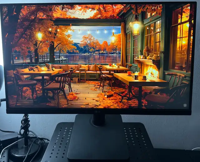 LG 27 inch FHD Monitor (27MS550) for Sale63871130468353120