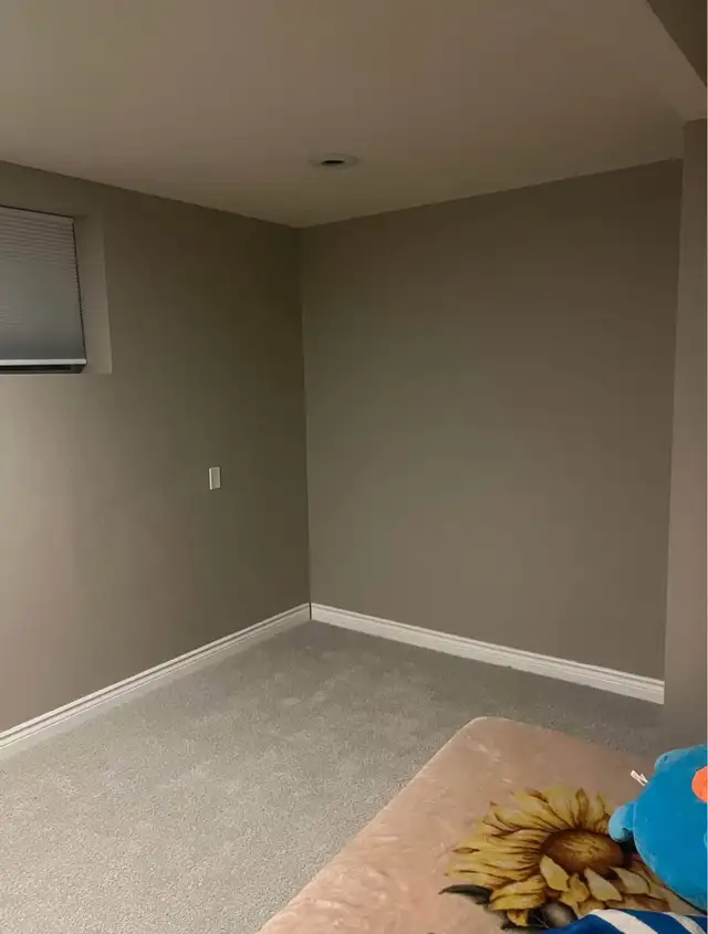 Basement for Rent in Taradale