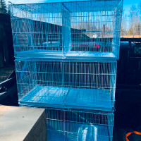 Bird cages and nest boxes