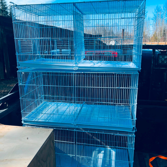 Bird cages and nest boxes in Accessories in Kamloops