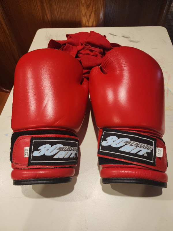 Boxing gloves in Exercise Equipment in Regina - Image 3