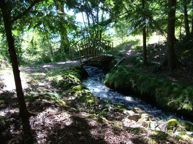 Kootenai Hideaway Kaslo in British Columbia in Canada - Image 6