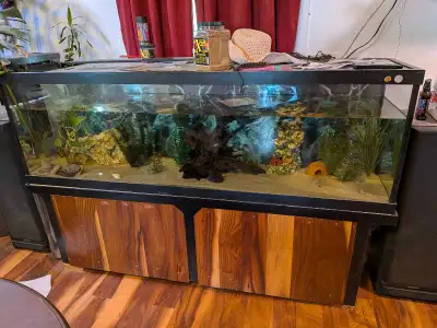 125 gallon , View more