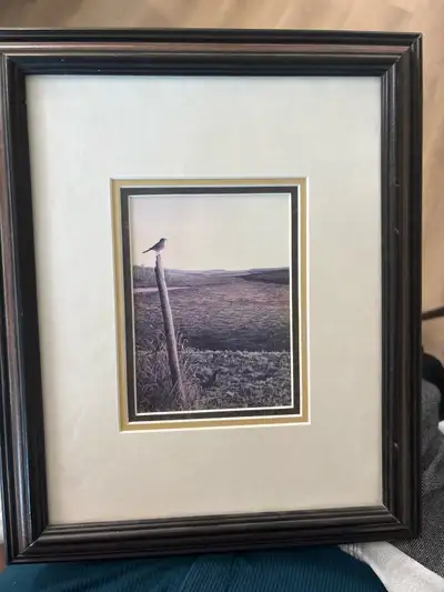 8X10 frame Text Nadine 306-371-2030 If interested