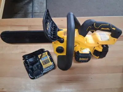 $275 +HST DeWALT 20V 12 in. Brushless Cordless Compact Chainsaw Kit comes with 5Ah battery and charg...