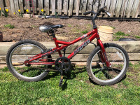 20” Youth Bicycle with Kickstand ASIS
